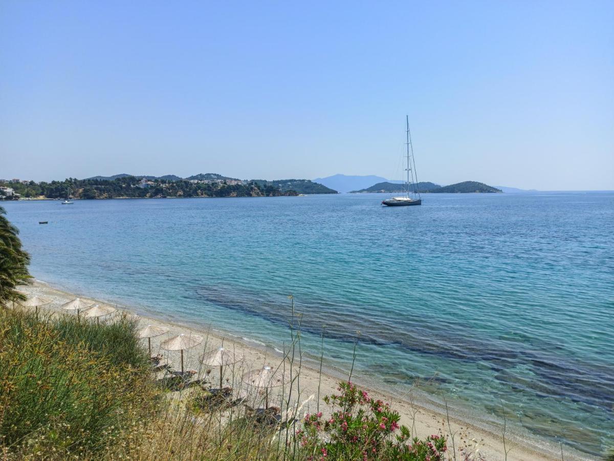 Golden View Villa Skiathos-Stadt Exterior foto